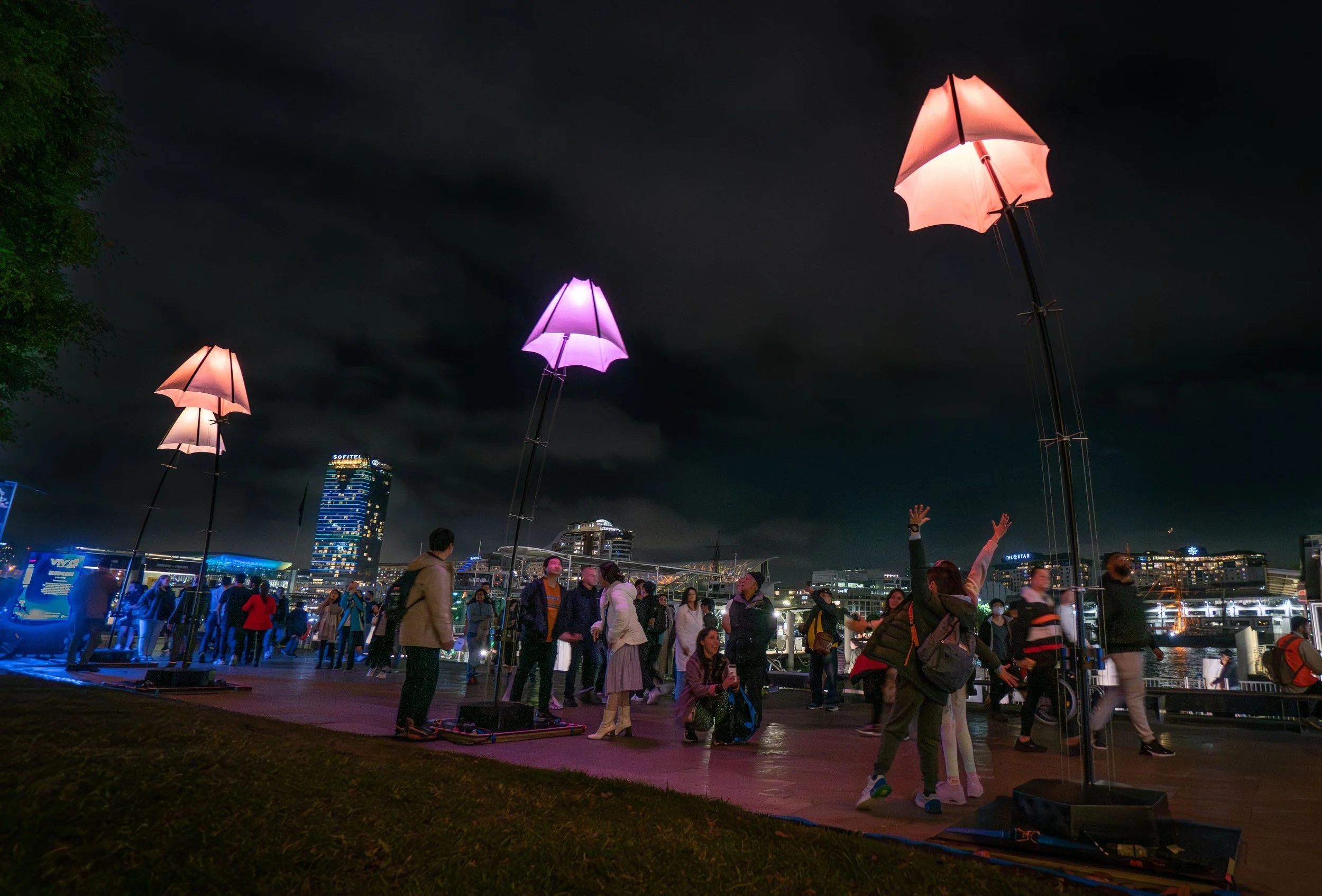 Bloomlight y City Gazing en Vivid Sydney 2023